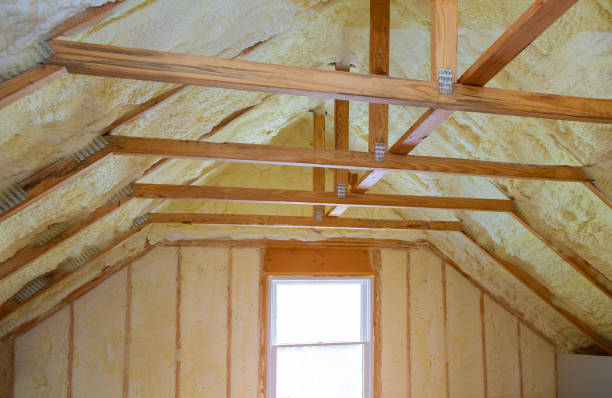 Best Commercial Insulation in Los Fresnos, TX