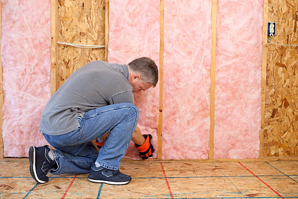 Best Residential Insulation in Los Fresnos, TX