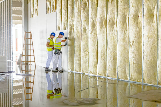 Best Insulation Maintenance and Repair in Los Fresnos, TX